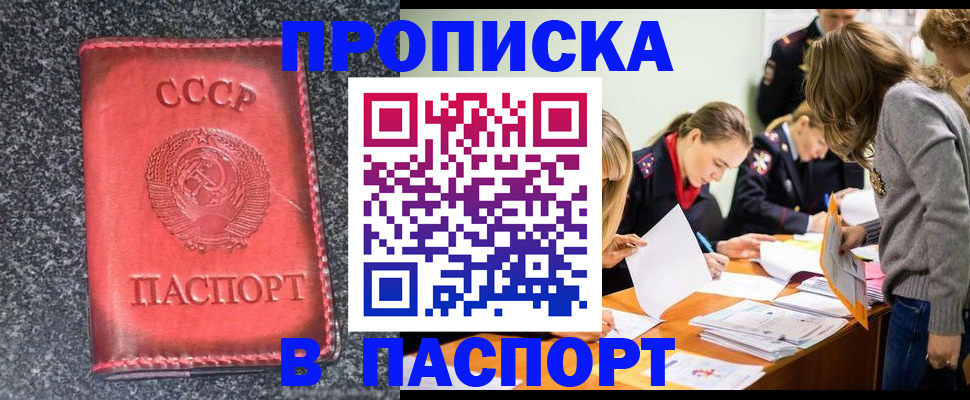 прописка для школы в Заречном